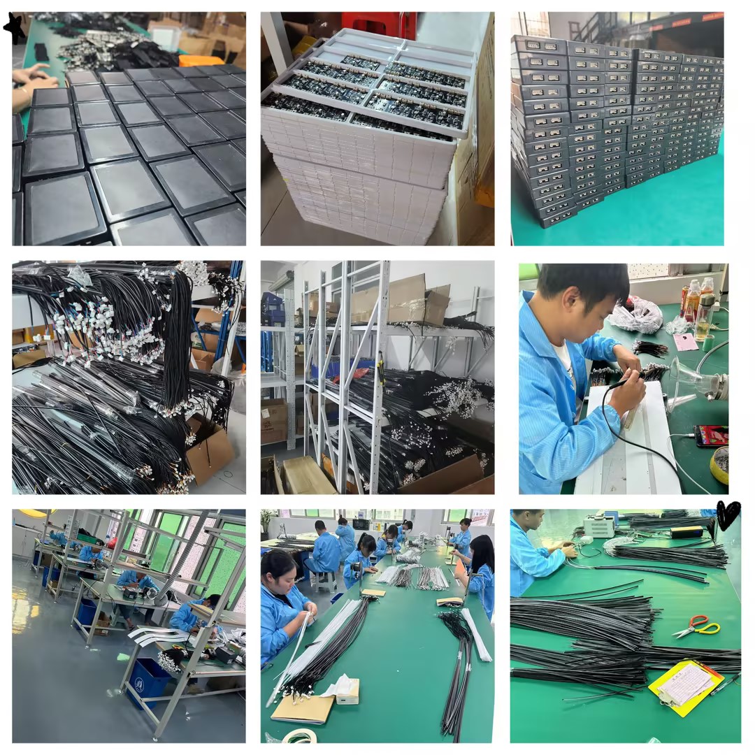 Product Layout