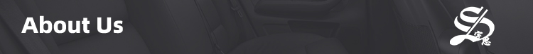 Car Interior Style Detail