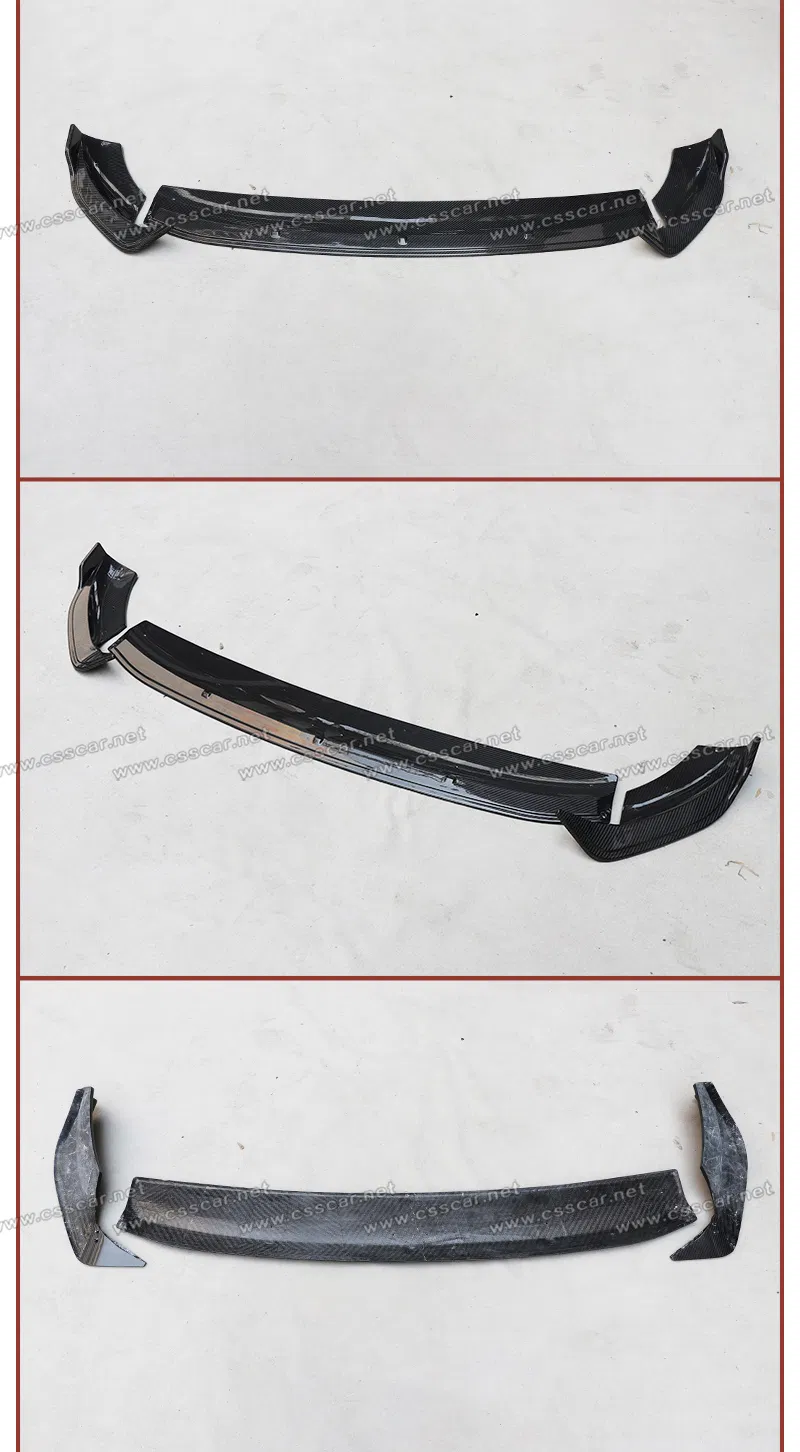 Front Lip Detail 5