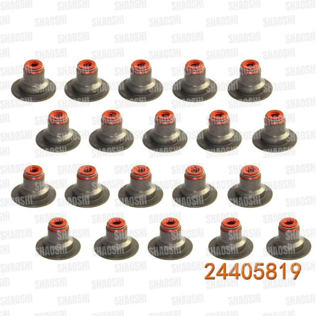 Oil Seal Gallery 2