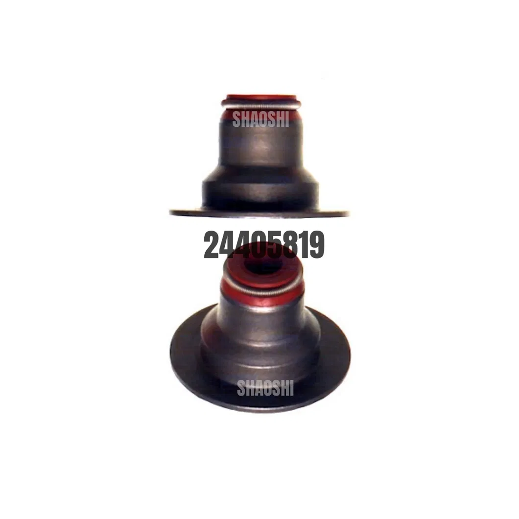 Oil Seal Gallery 5