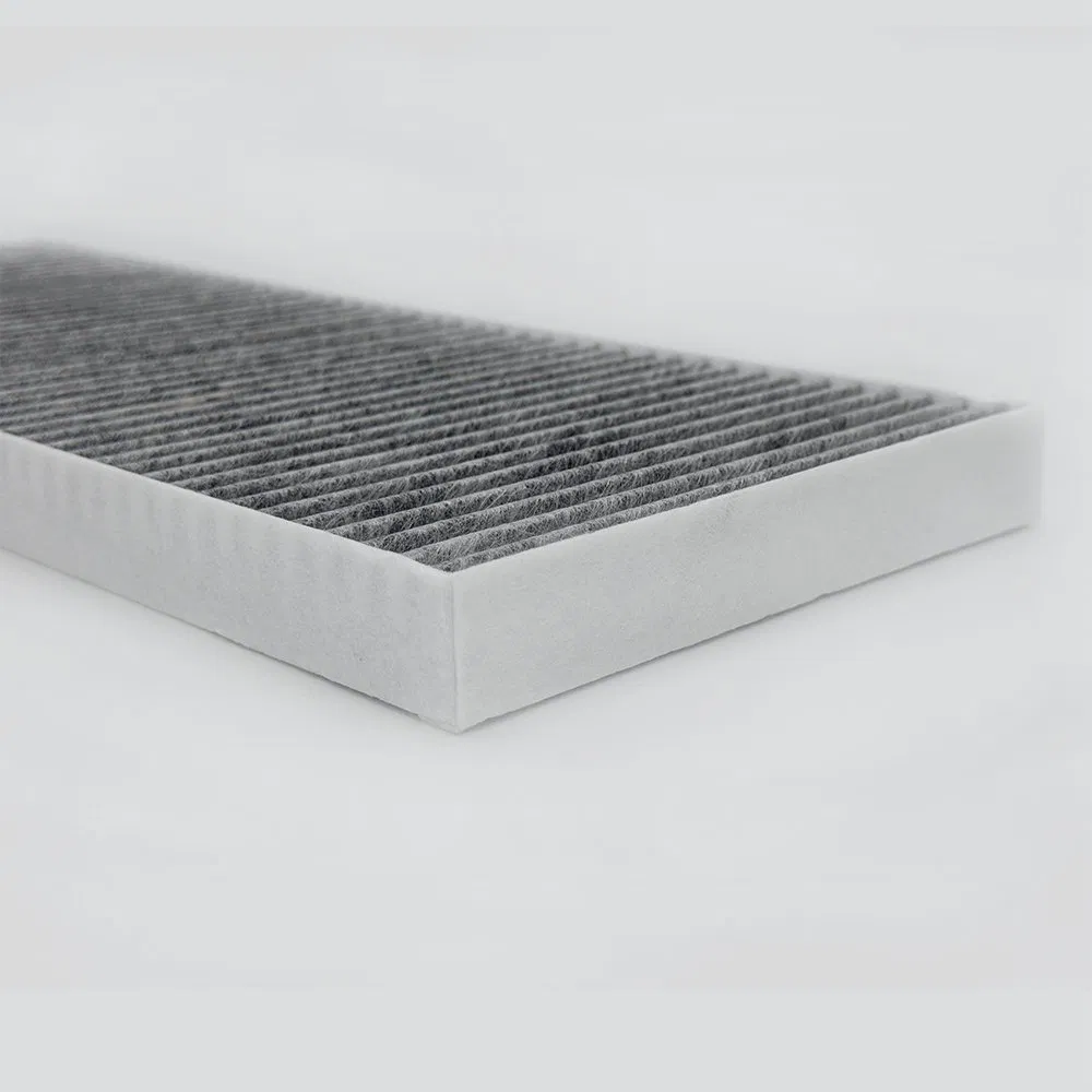 Customized Cabin Filter for Vehicle Air Conditioning Systems with Antibacterial and Activated Carbon Coating
