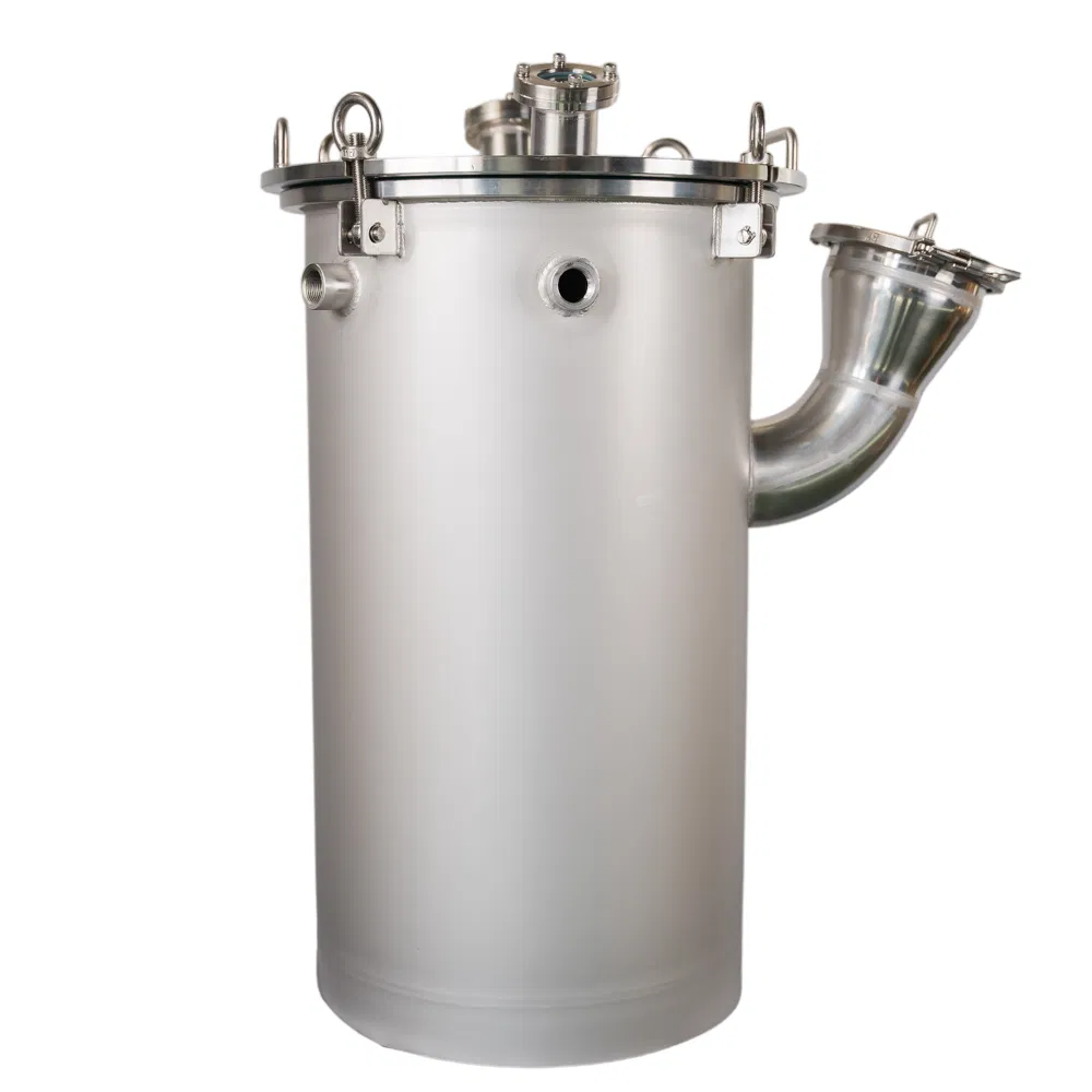 Customizable 304/316L Stainless Steel Filter Housings for Various Industries