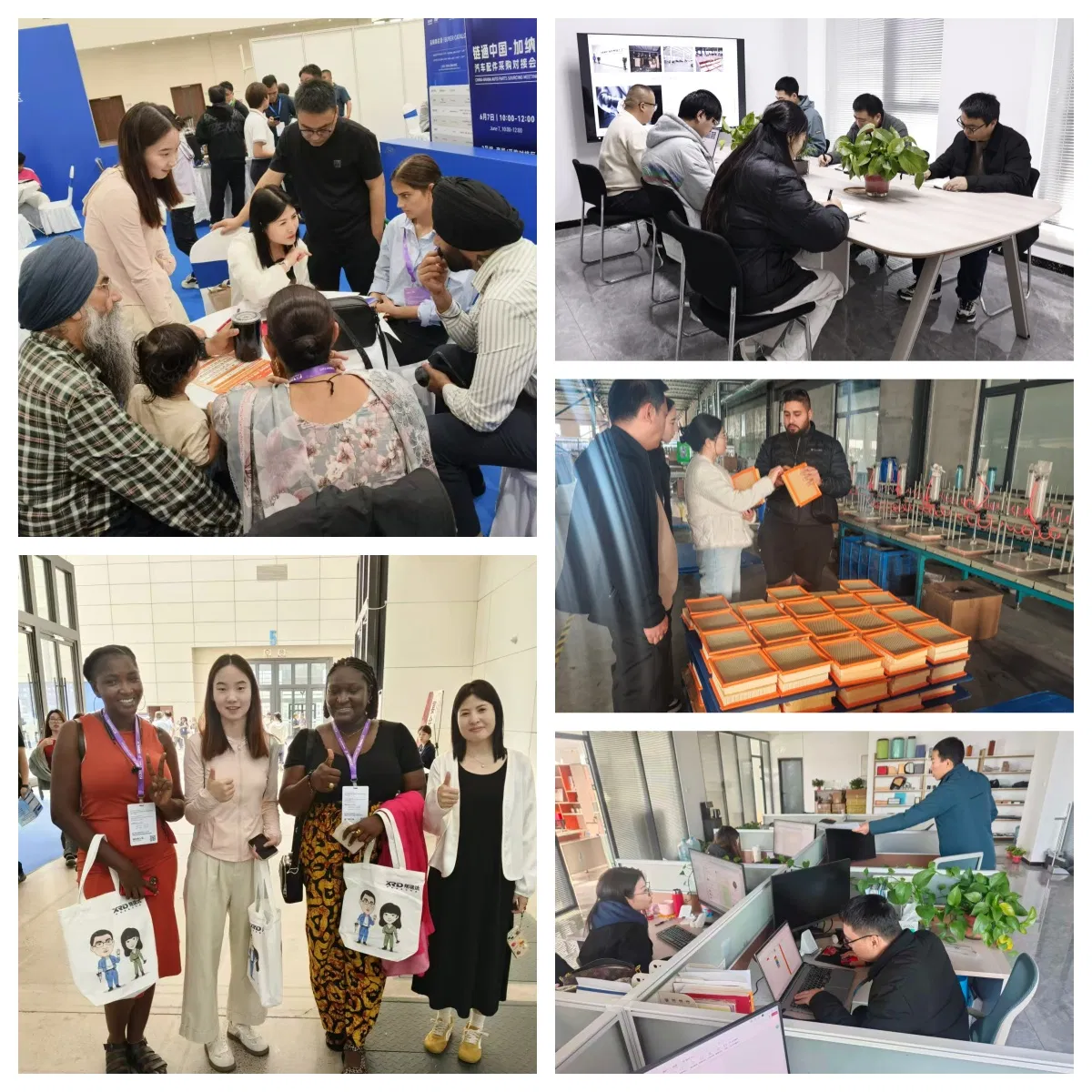 Our Professional Team