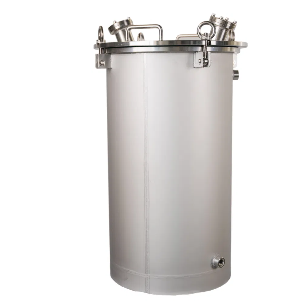 Customizable 304/316L Stainless Steel Filter Housings for Various Industries