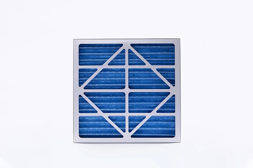 Primary Filter View 1