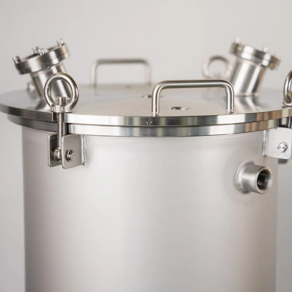 Customizable 304/316L Stainless Steel Filter Housings for Various Industries