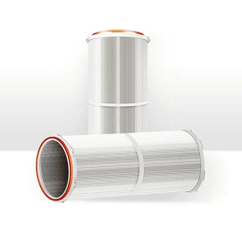 Filtration Cartridge Detail 1