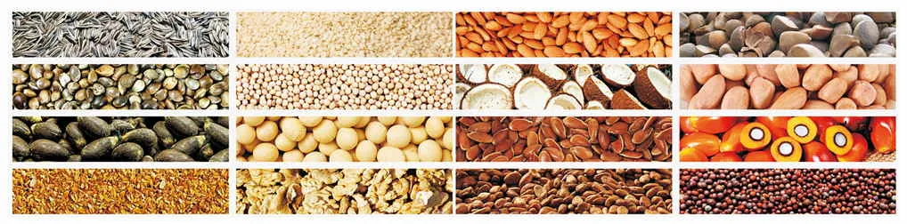 Oil Filter Efficiency