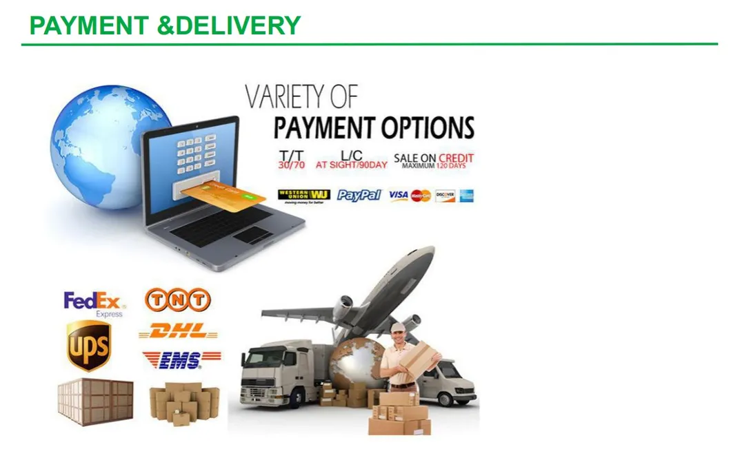 Shipping and Logistics