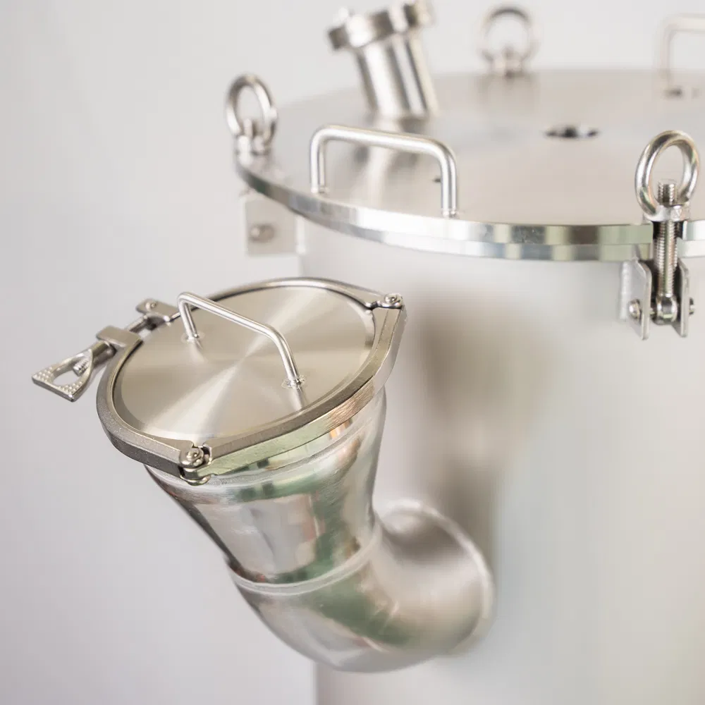 Customizable 304/316L Stainless Steel Filter Housings for Various Industries