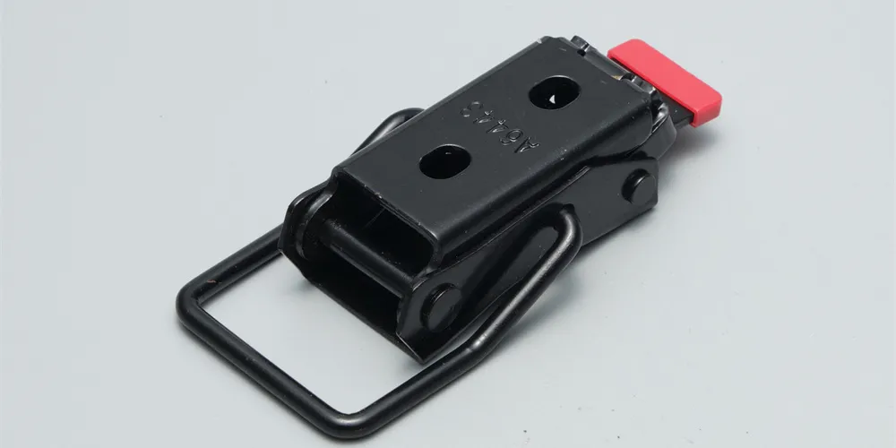 Seat Belt Buckle Detail 2