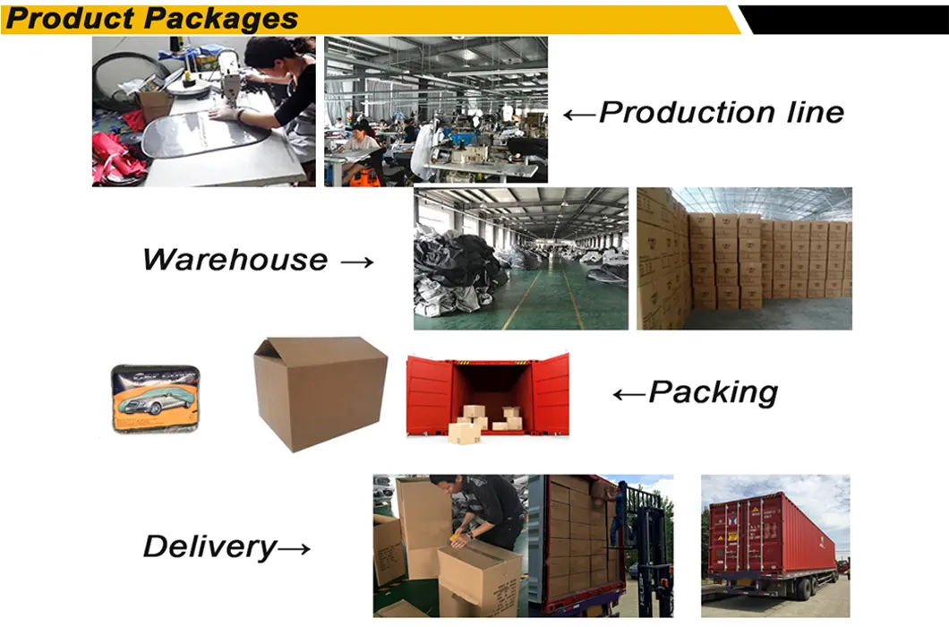 Car Cover Silver Detail