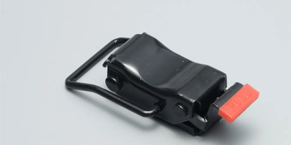 Seat Belt Buckle Detail 1