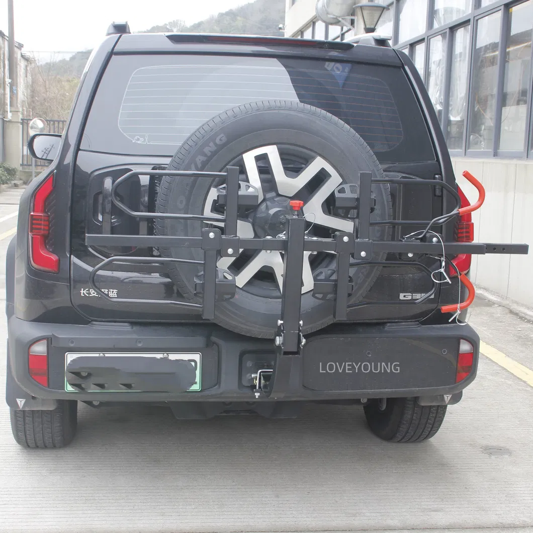 Bike Carrier Detail