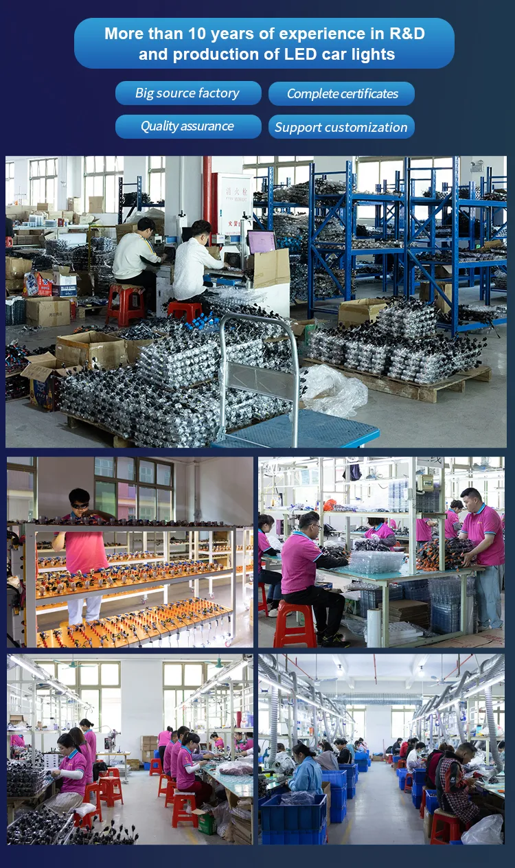 Six Reasons to Choose Us