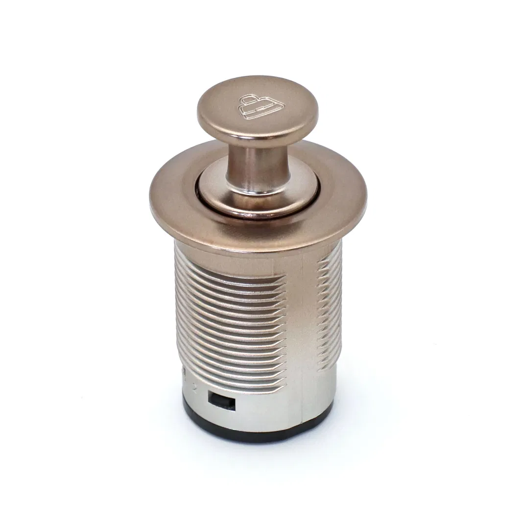 Automobile Interior Accessories