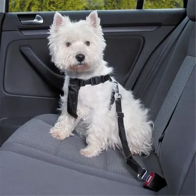 Pet Safety Belt