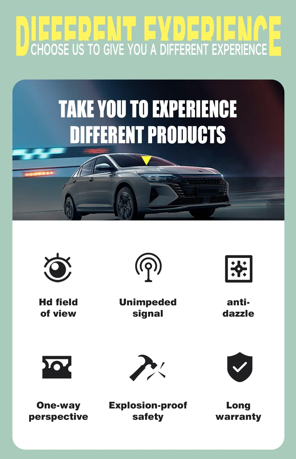 Window Film Display 1