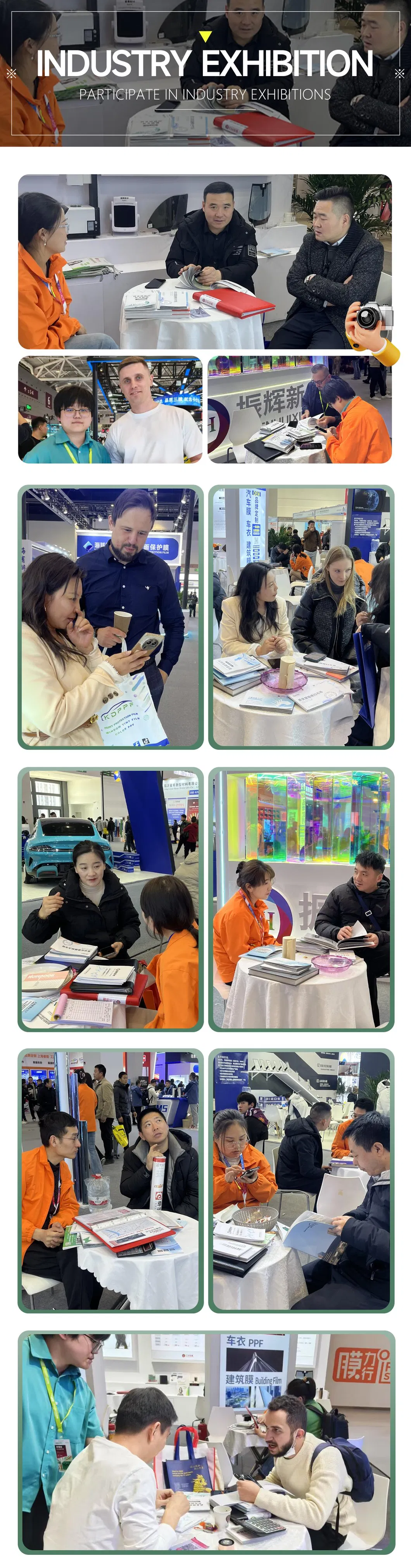 Window Film Display 5