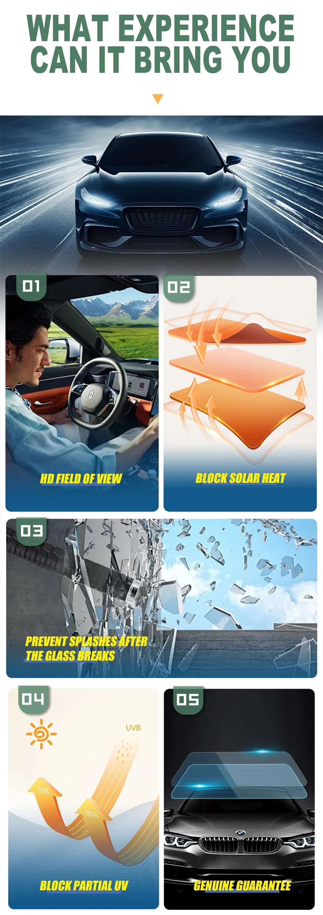 Window Film Display 2