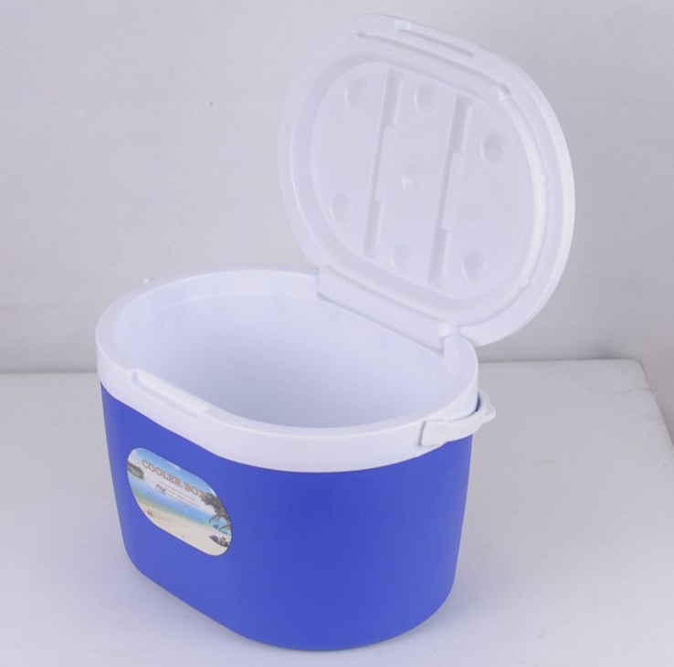 Car Cooler and Warmer Storage Box for Car Home Portable Refrigerator Milk Food Insulated Carrier with Handle Auto Accessories