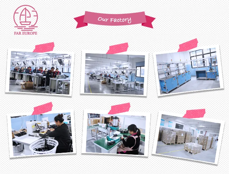 Pet Seat Belt Usage 2