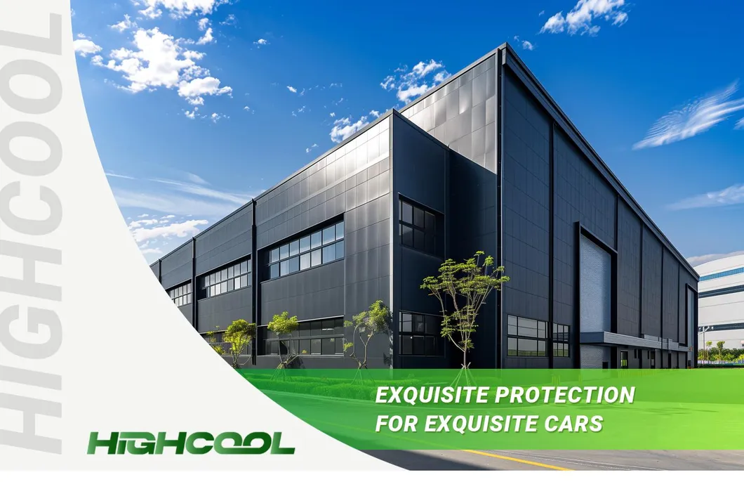 Car Wrap Film Showcase 1