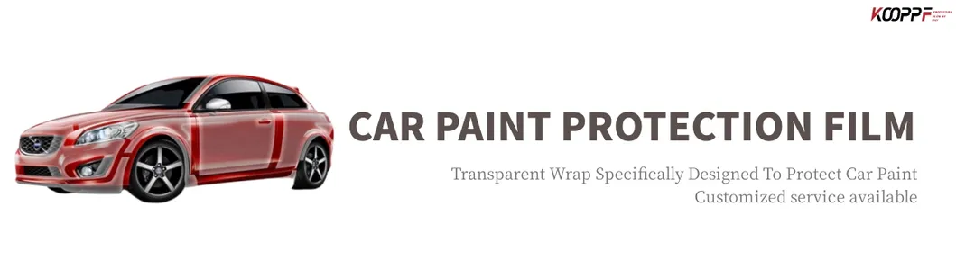 Paint Protection Film
