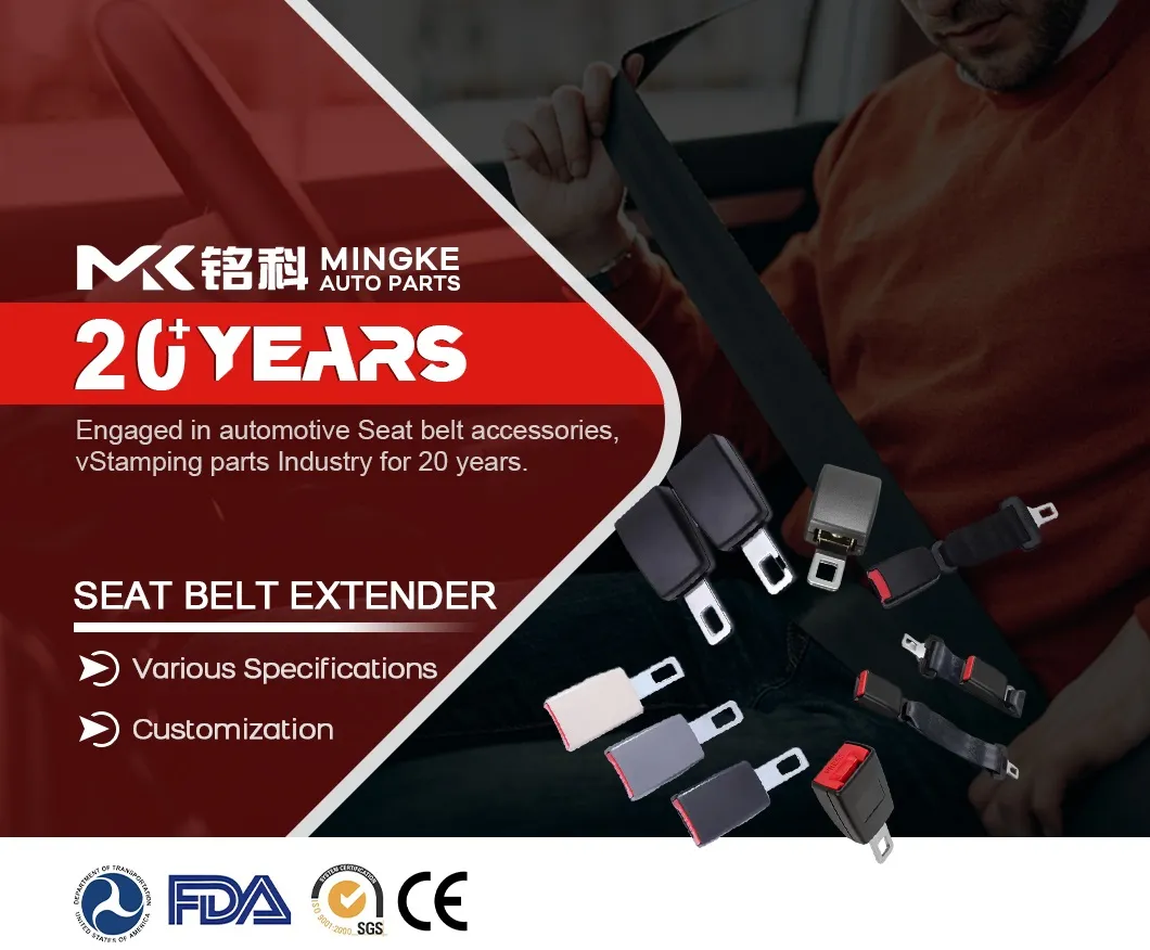 Safety Belt Detail 1