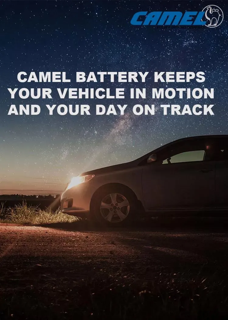 Lead Acid Battery Detail