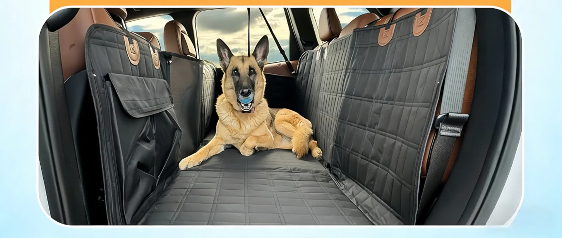 Pet Seat Cover