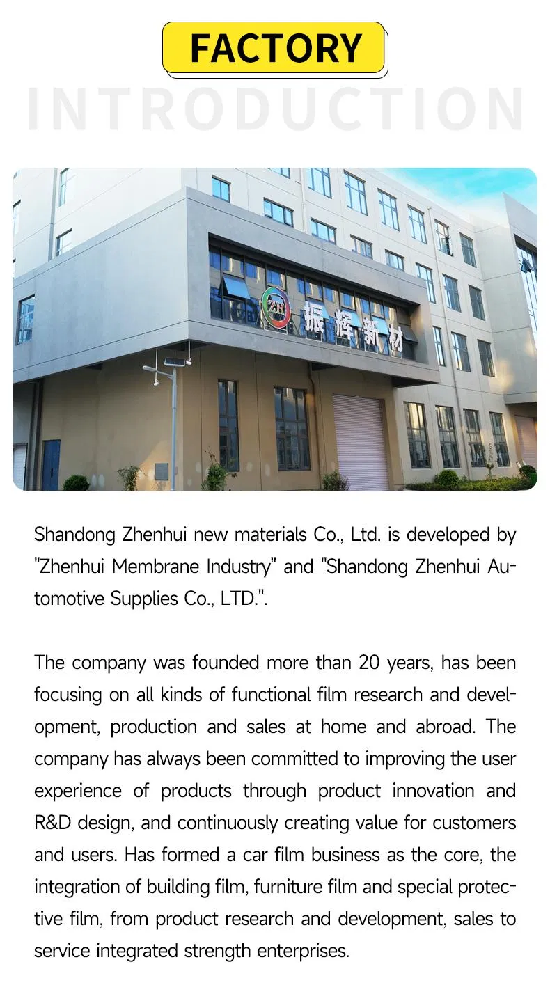 Window Film Display 3