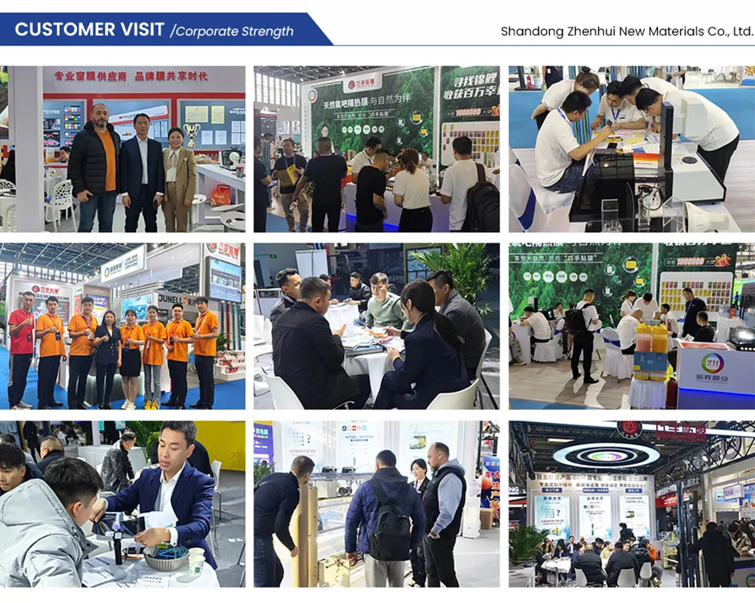 Car Window Tint Application