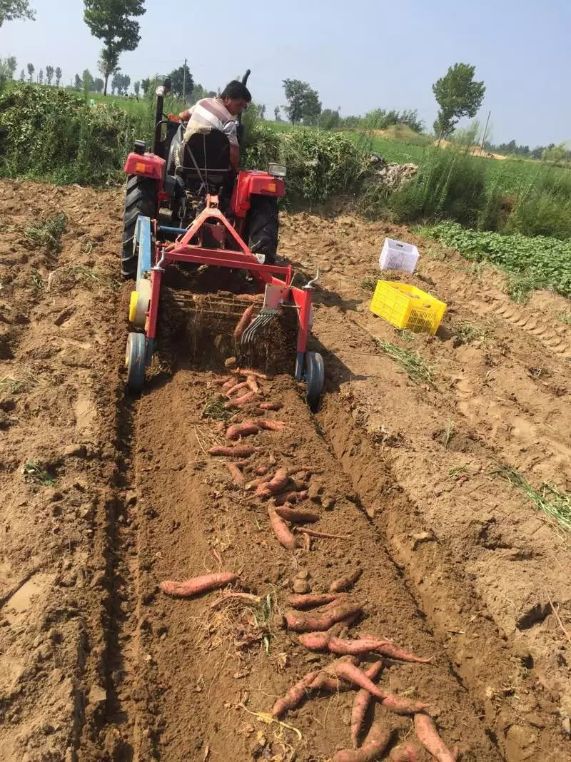 Equipamento agrícola para tratores, pneus de flutuação larga para uso agrícola, peças agrícolas a preço de atacado, colhedora de batata-doce