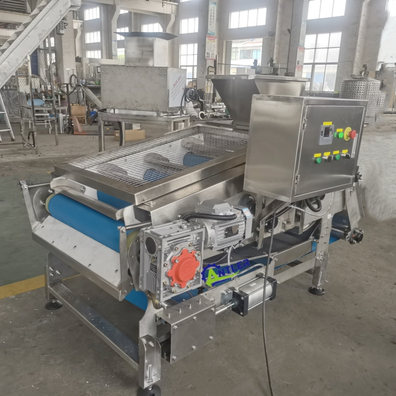 Extrator de Suco de Maçã Profissional Personalizado Industrial de Prensa Fria Tipo Cinta