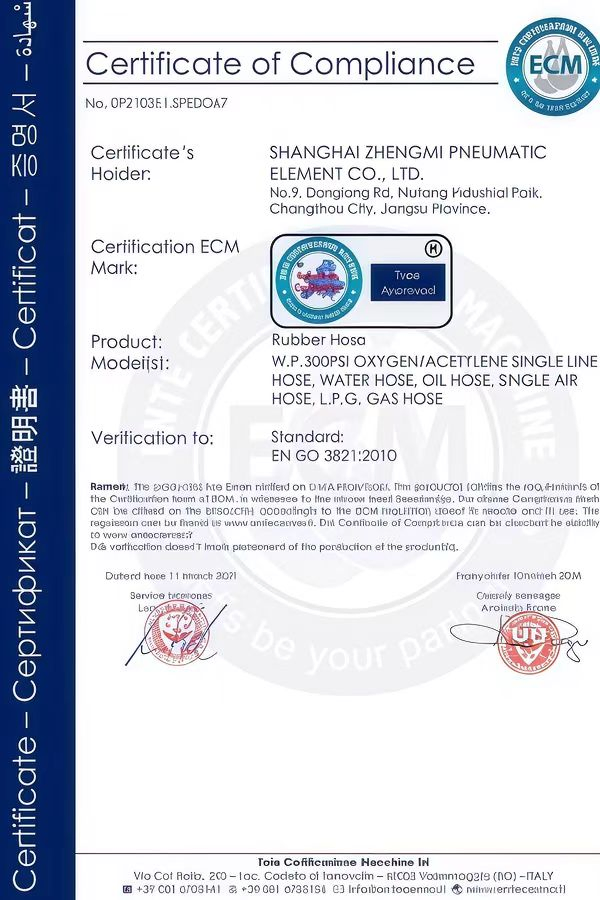Certificado 1