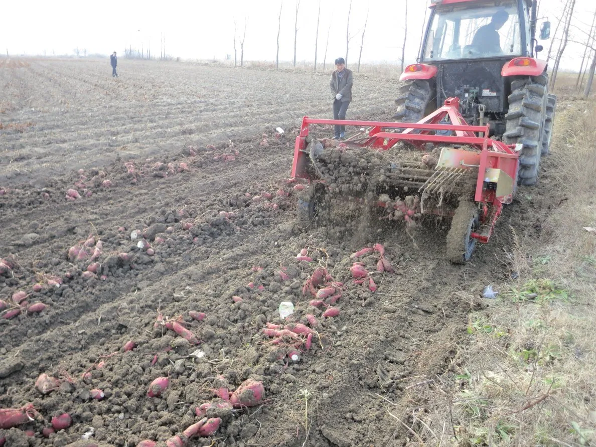 Equipamento agrícola para tratores, pneus de flutuação larga para uso agrícola, peças agrícolas a preço de atacado, colhedora de batata-doce