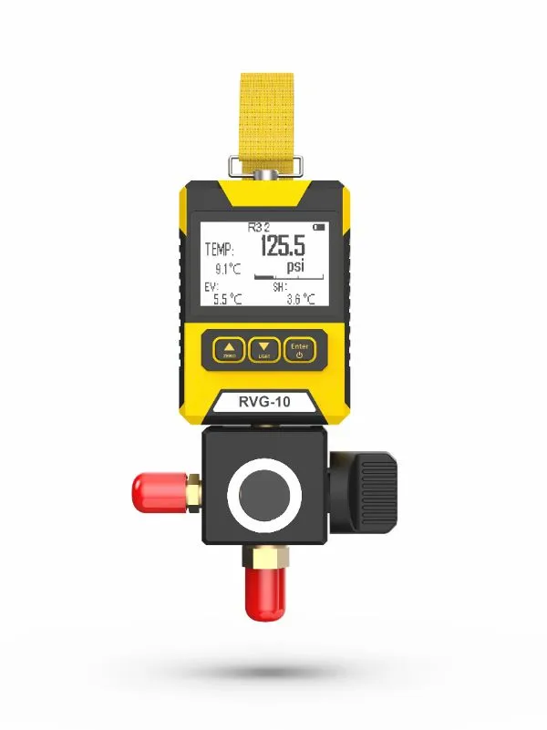 RVG-10 Digital Pressure Gauge