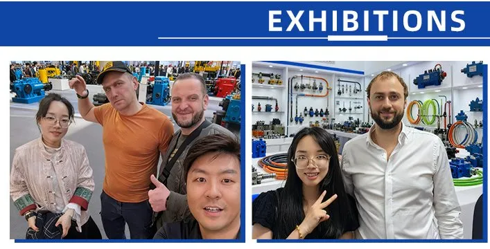 Exposição
