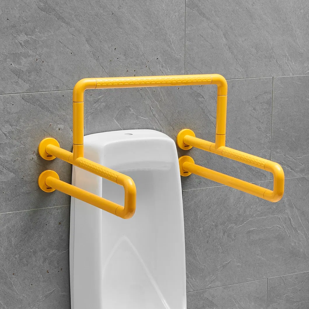 Toilet Safety Rail 1