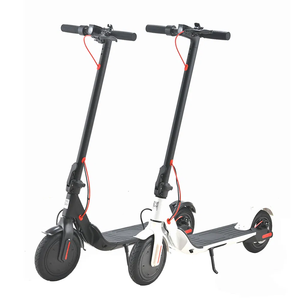 Scooter Bicycle 750W Knee Walker Tire 24V Double Battery Ebike Self Balance Panama 1000W Adults 3 Wheels We Electric Scooters