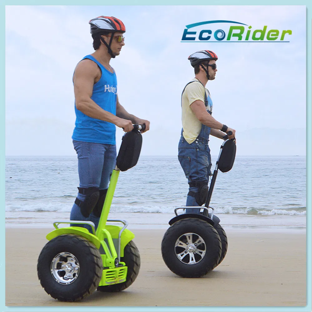 China Factory Electric Vehicle Electric Scooter