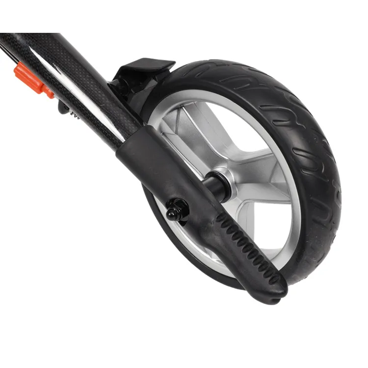 Carbon Fiber Walker 7