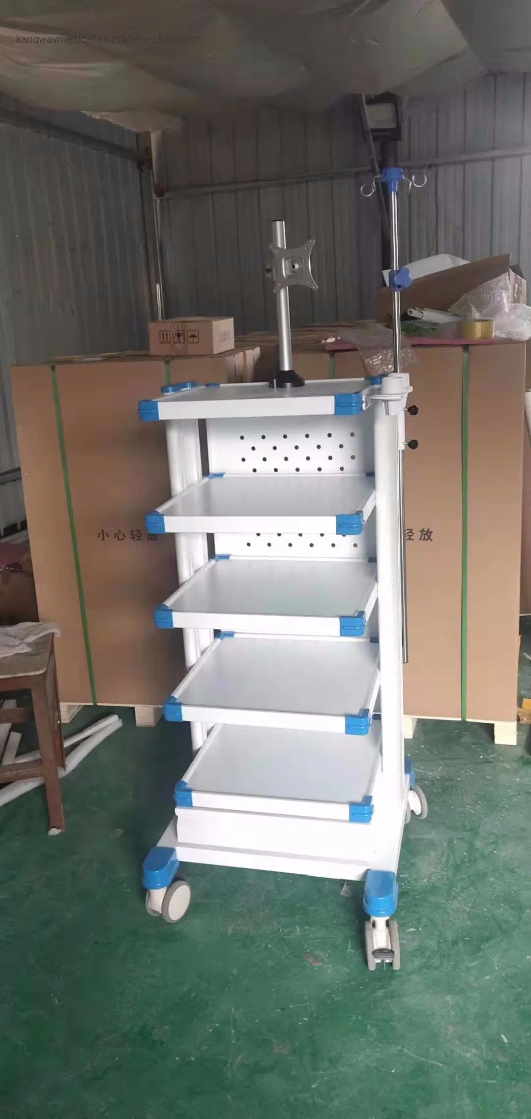 Factory Medical Emergency Endoscopy ECG /Utrasound Cart /Patient Monitor Computer Trolley