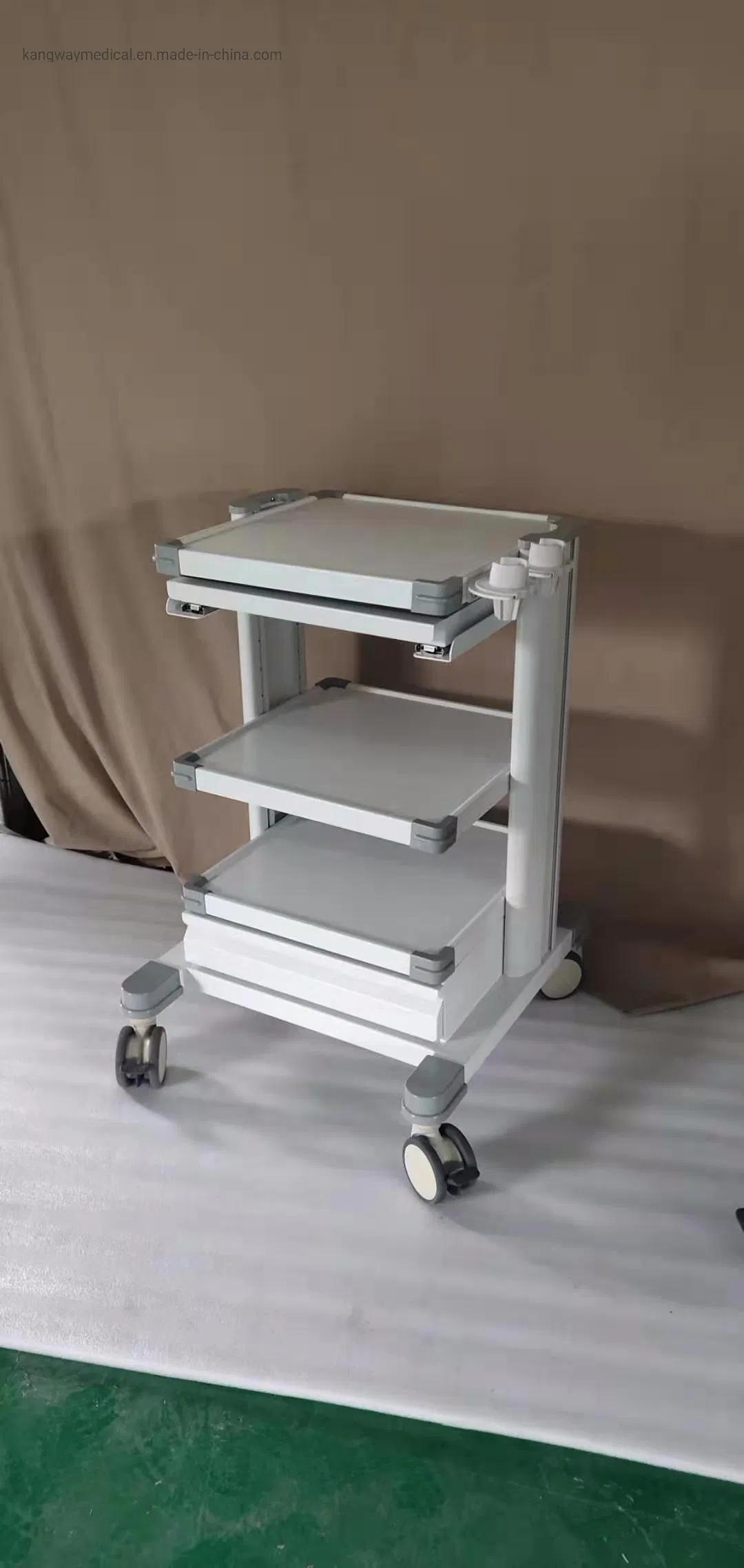 Hospital Medical Emergency Endoscopy ECG /Utrasound Cart /Patient Monitor Computer Trolley