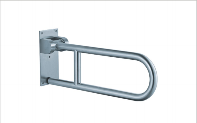 Handicapped Toilet Rail