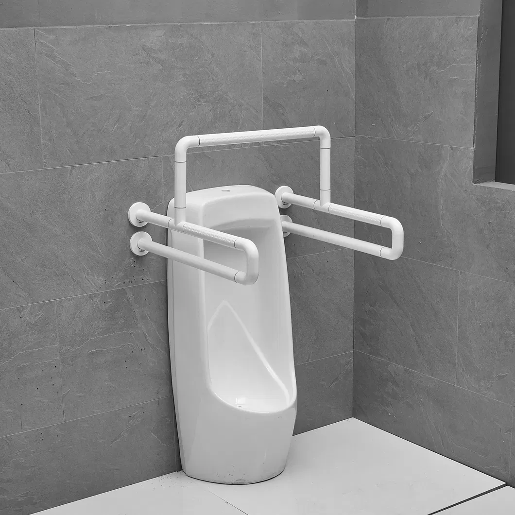 Toilet Safety Rail 2