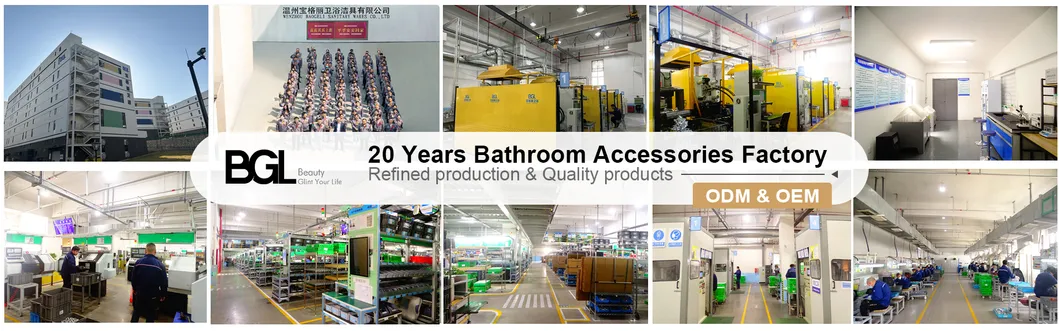 Foldable Toilet Grab Bar