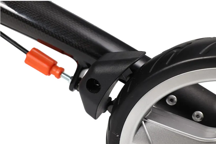 Carbon Fiber Walker 6